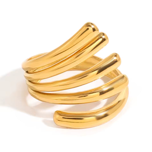 ANILLO VÓRTICE