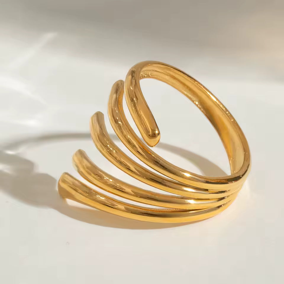 ANILLO VÓRTICE