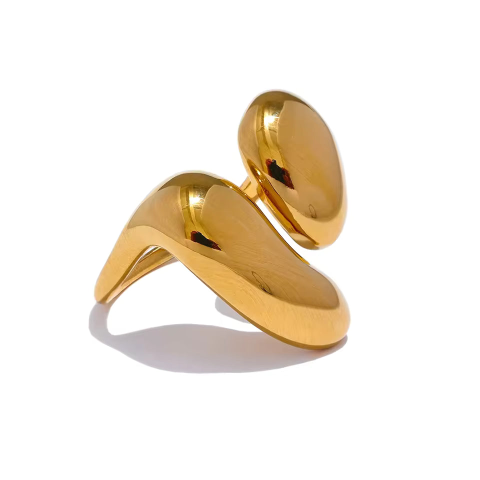 ANILLO DIVERSO