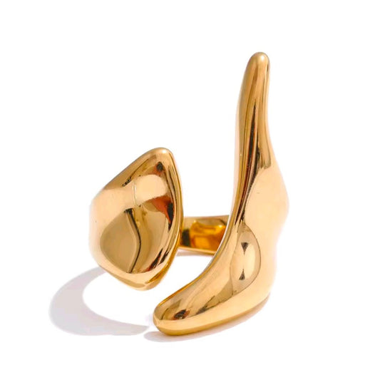 ANILLO AESTHETIC