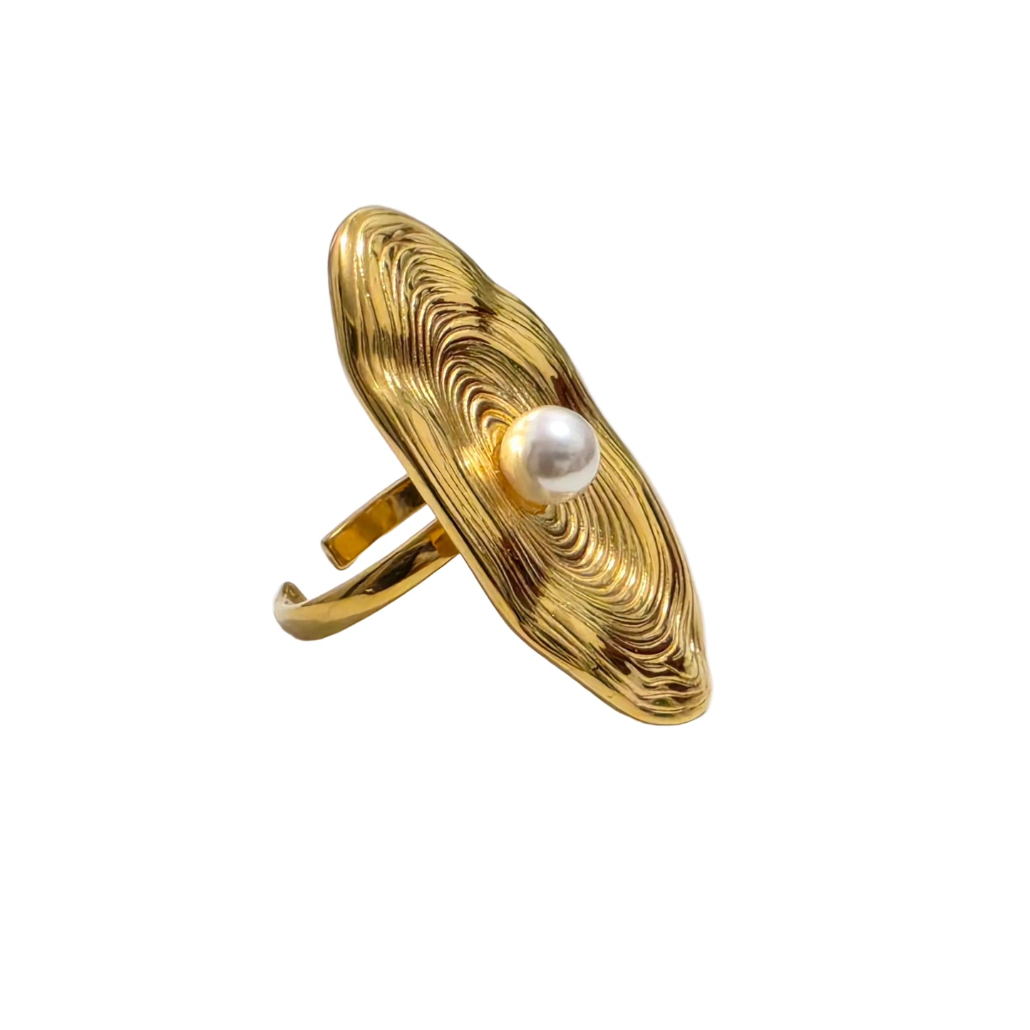 ANILLO TURIN