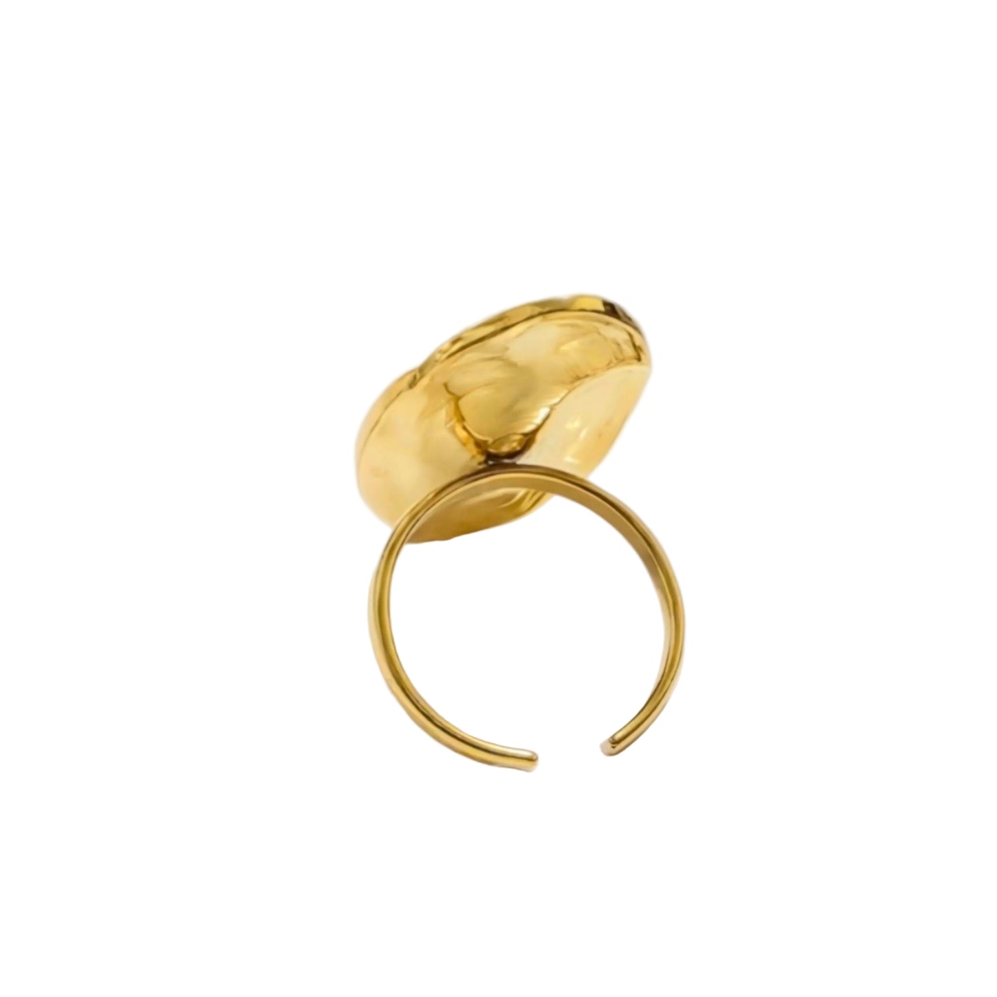 ANILLO TURIN